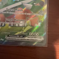 The Pokemon Company Torterra ex Full Art Ultra Rare 185/162 Eng Holo HP 340 - Image 4