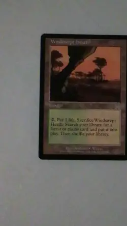 Magic: The Gathering Windswept Heath Land Card Onslaught Rare Regular English - Image 1
