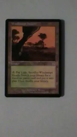 Magic: The Gathering Windswept Heath Land Card Onslaught Rare Regular English - Image 2