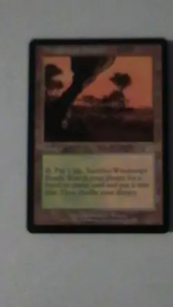 Magic: The Gathering Windswept Heath Land Card Onslaught Rare Regular English - Image 4