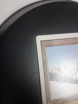 MTG - Taiga - Revised Edition Dual Land - Reserved List 100% Authentic SP/LP - Image 3