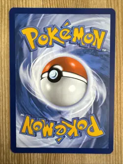 Beach Court 263/182 Pokemon TCG S&V Paradox Rift Gold Secret Rare NM - Image 2