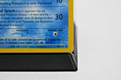 Pokemon TCG - Seadra 48/111 Neo Genesis 1st Edition - NM - Image 3