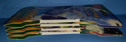 Pokemon TCG XY ROARING SKIES SLEEVED Booster Art Bundle Set of 4 - Image 3