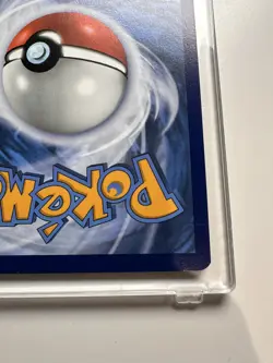 Pokemon Obsidian Flames Charmander ETB Promo - Image 5