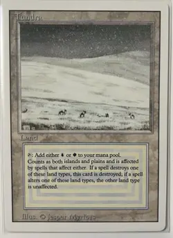 MTG Tundra Revised Edition Rare Land Regular English Jesper Myrfors - Image 1