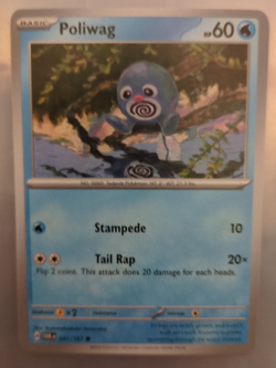 Poliwag 041/167 Twilight Masquerade Common Pokemon Card - Image 1