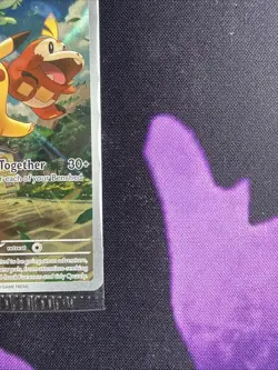 Pokemon TCG Pikachu SVP 027 Black Star Promo Paldea Evolved Sealed NM - Image 4