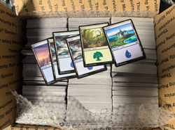 Magic The Gathering Basic Lands Lot 4000+ Cards Medium Flat Rate Box - Image 1