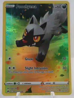 Poochyena GG33/GG70 Crown Zenith Galarian Gallery Pokemon - Image 1