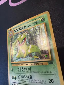 Pokemon TCG Victreebel Jungle Holo Rare 071 80 HP Japanese 1996 - Image 3