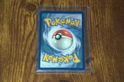 Pokemon M Swampert EX Holo Rare XY87 XY Mega 2016 Black Star Promo Authentic - Image 2