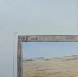 Savannah (English) Dual Land - Magic The Gathering (MTG Revised Edition) - Image 3