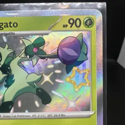🎴Floragato 077 Sv: Scarlet & Violet Promo Cards Holo NM - Image 4