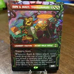 Teenage Mutant Ninja Turtles, Raph & Mikey, Troublemakers - Foil - Image 1