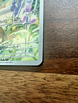 Pokemon Charmander 044 Scarlet & Violet Black Star Promo Near Mint - Image 5