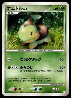 8 x RARE JAPANESE HOLOS - KYOGRE EX LUCARIO INFERNAPE MOVIE PROMOS - POKEMON - Image 3