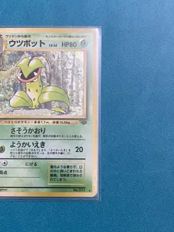 Victreebel Holo No 071 1997 Jungle Set Pokemon Card Japanese NM - Image 5