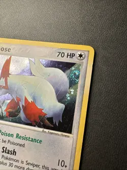 Zangoose 14/100 Holo Rare EX Sandstorm Pokemon Card DOUBLE SWIRL - Image 3