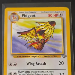 Wizards of the Coast Pidgeot Jungle 24/64 Rare Regular 80 HP Unlimited - Image 2
