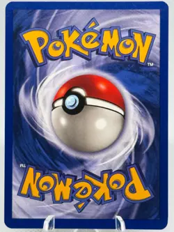 Pidgeotto 22/102 Rare Regular Base Set Unlimited Pokemon English Near Mint - Image 2