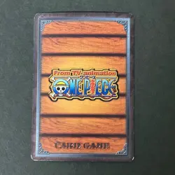 S4795 Very Rare Nami & Nico Robin SR HOLO One Piece Vintage Carddass Card F13 - Image 2