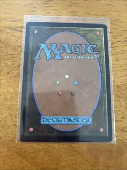 Forest Basic Land 291 Tarkir: Dragonstorm NM - Image 2