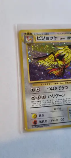 1997 Pidgeot Pokemon 1997 Holo Jungle Japanese 018 - Image 2