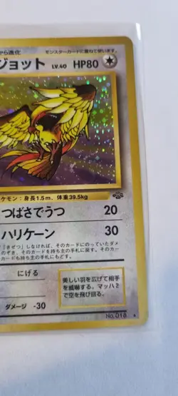 1997 Pidgeot Pokemon 1997 Holo Jungle Japanese 018 - Image 3