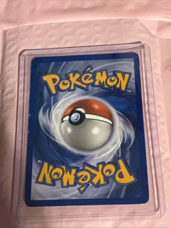 Raikou Secret Wonders Holo-Cracked Ice Card 16/132 - Image 2