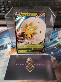 (Japanese) Eldegoss V 016/190 RR - s4a Shiny Star V - Pokemon TCG (NM) - Image 1