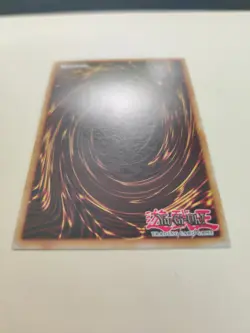 Red-Eyes Black Metal Dragon LCJW-EN031 1st Edition Common LP - Image 5