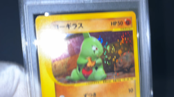 PSA 10 Larvitar McDonald's Promo 018/018 Gem Mint Japanese Pokemon e Card DDP - Image 2