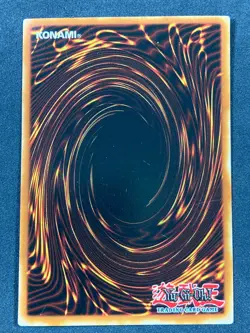 Salamandra (Dark Duel Stories) DDS-006 Yu-Gi-Oh! Video Game Promotional Cards LP - Image 3