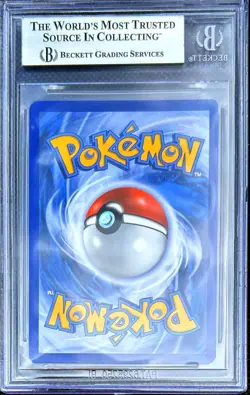Pokemon Umbreon & Darkrai GX Tag Team Powers Coll. Promo SM241 BGS 9 Mint - Image 2