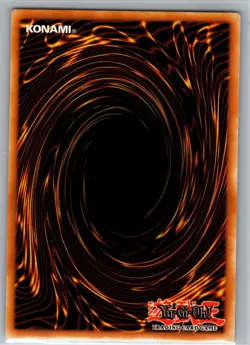Black Dragon's Chick LDS1-EN002 Legendary Duelists: Season 1 Yu-Gi-Oh NM - Image 2
