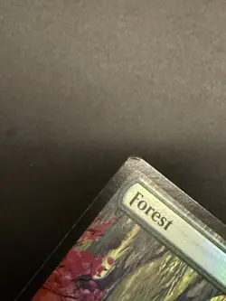 FOIL Forest MTG 2025 Year Of The Snake Promo LP/EX English - Image 3