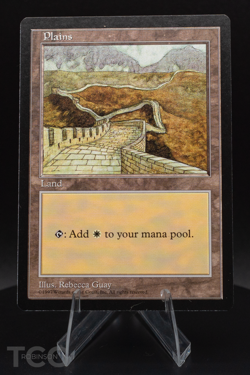 Plains - Asia Pacific Land Program (PALP) Regular - Magic the Gathering - Image 1