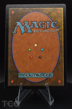 Plains - Asia Pacific Land Program (PALP) Regular - Magic the Gathering - Image 2