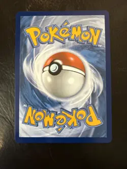 Mightyena 243/217 Ascended Heroes IR Near Mint Pokemon English - Image 2