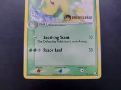 Pokemon - Bayleef Prerelease 35/115 Uncommon Ex Unseen Forces - Image 3