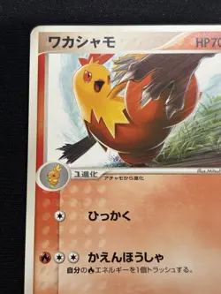 Combusken - 065/PCG-P 065/PCG-P PCG-P Promotional cards Regular (Japanese) - Image 3