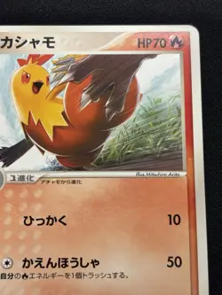 Combusken - 065/PCG-P 065/PCG-P PCG-P Promotional cards Regular (Japanese) - Image 4