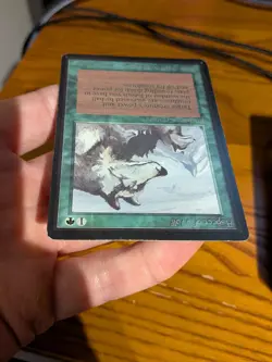 Aspect of Wolf Beta rare nm- Magic the Gathering mtg - Image 4