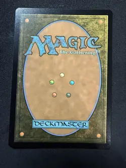 Forest [Foil] #291 Magic Avatar: The Last Airbender - Image 2
