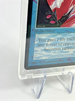 VINTAGE ALPHA - Lifetap - MTG Magic the Gathering 1993 Card in Magnetic Holder - Image 3