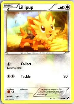 Lillipup 81 C Black & White Pokemon MP - Image 1