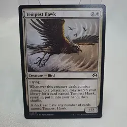 Tempest Hawk MTG Non Foil Regular TDM NM Near Mint Fast Shipping From Canada - Image 1