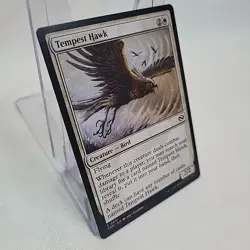 Tempest Hawk MTG Non Foil Regular TDM NM Near Mint Fast Shipping From Canada - Image 2