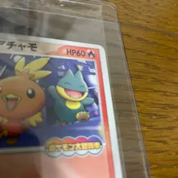 2005 Pokemon Card PokePark Forest Promo Torchic 002/009 - Premium File Rare Holo - Image 3